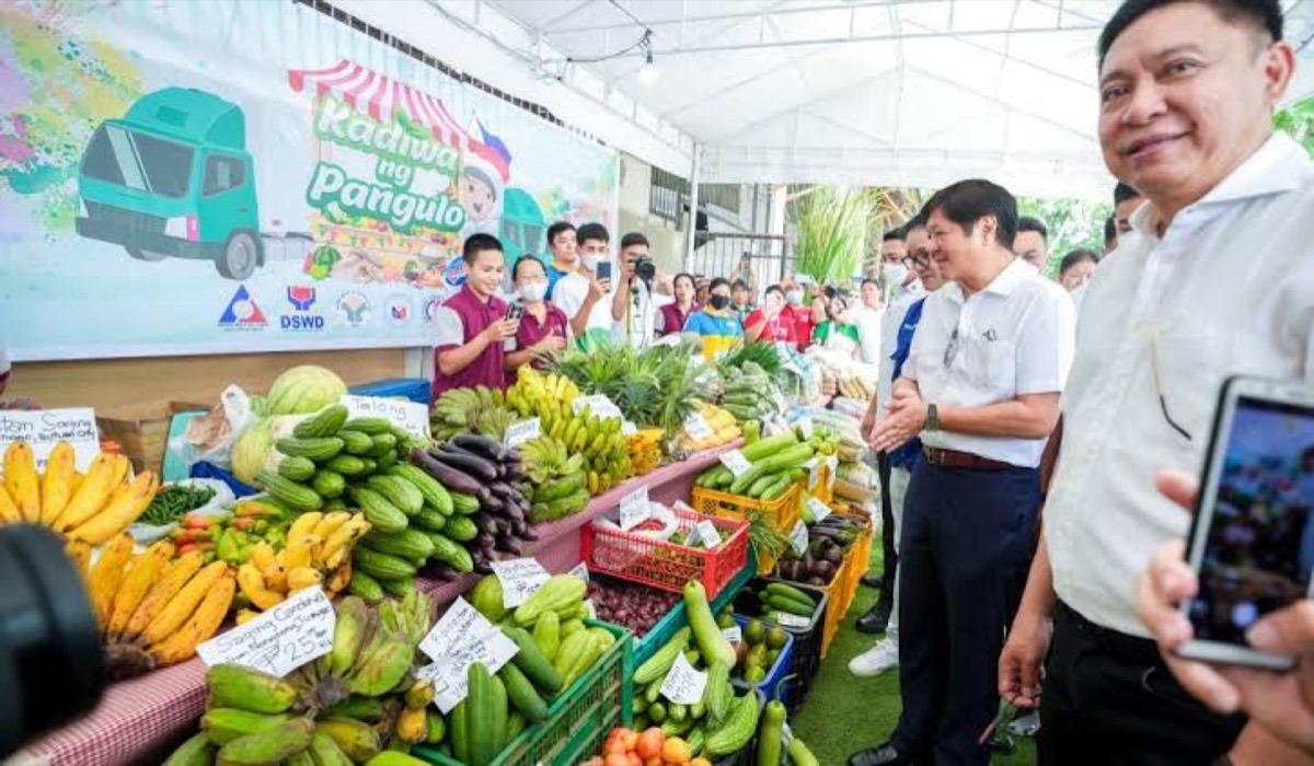 Sakahon agriculture project